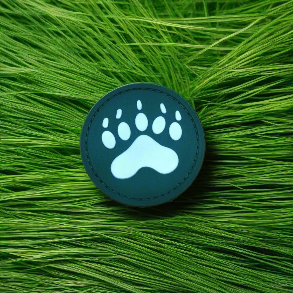 Round teal patch with a light blue paw print on a beige background