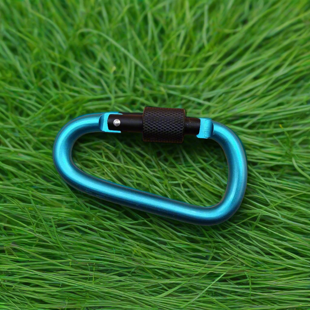 A blue aluminum carabiner with a black locking mechanism and a D-shaped ring.