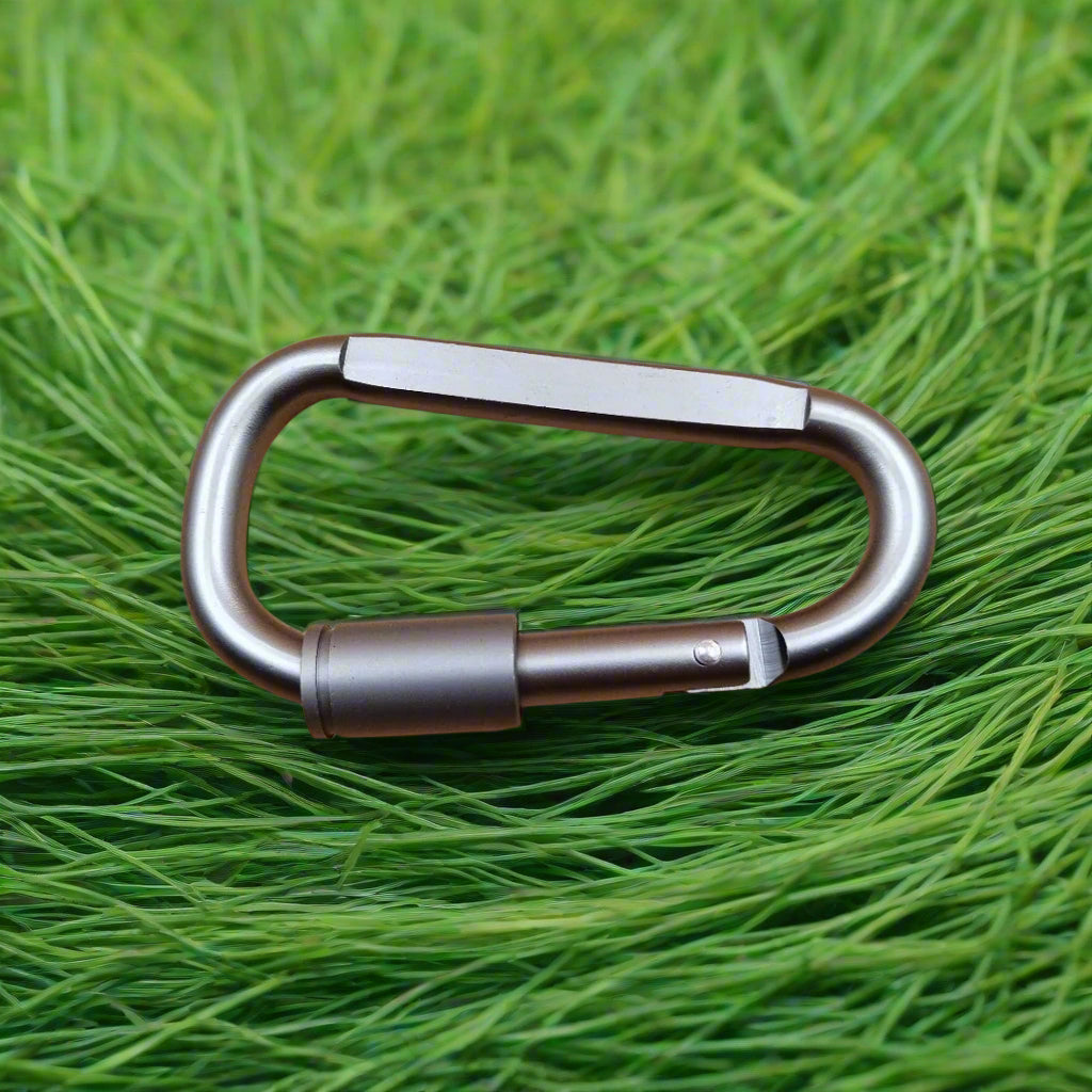 Metal carabiner on green grass