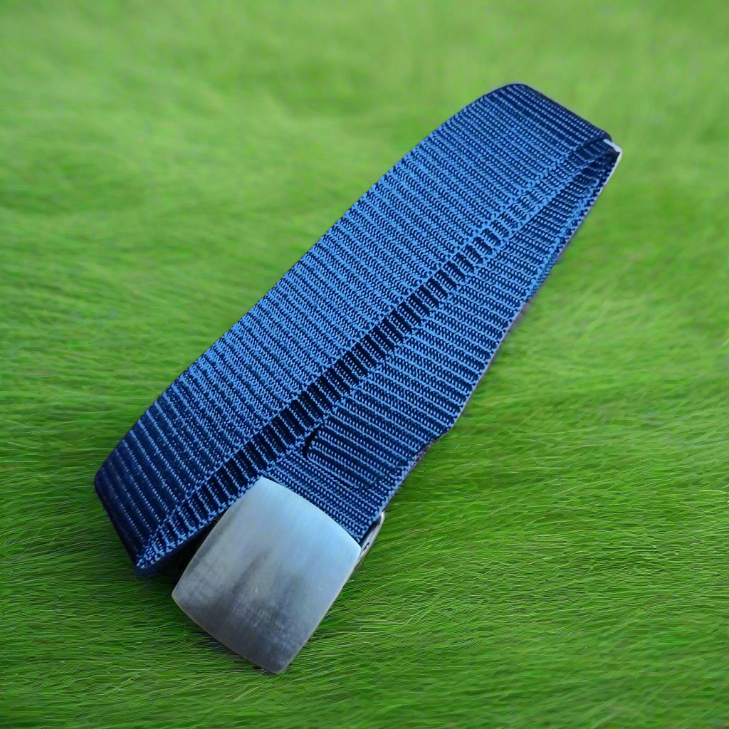 Blue belt with a silver buckle on a green textured background