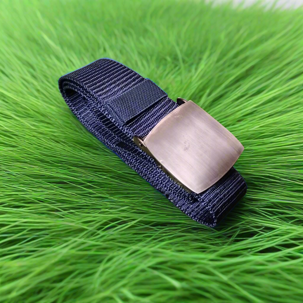 Navy belt with a silver buckle on green grass