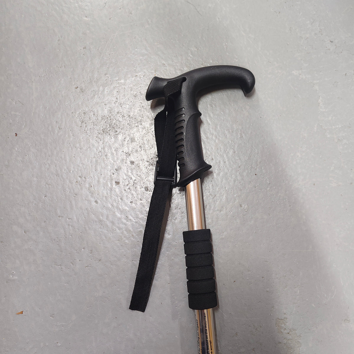 Hiking stick plain