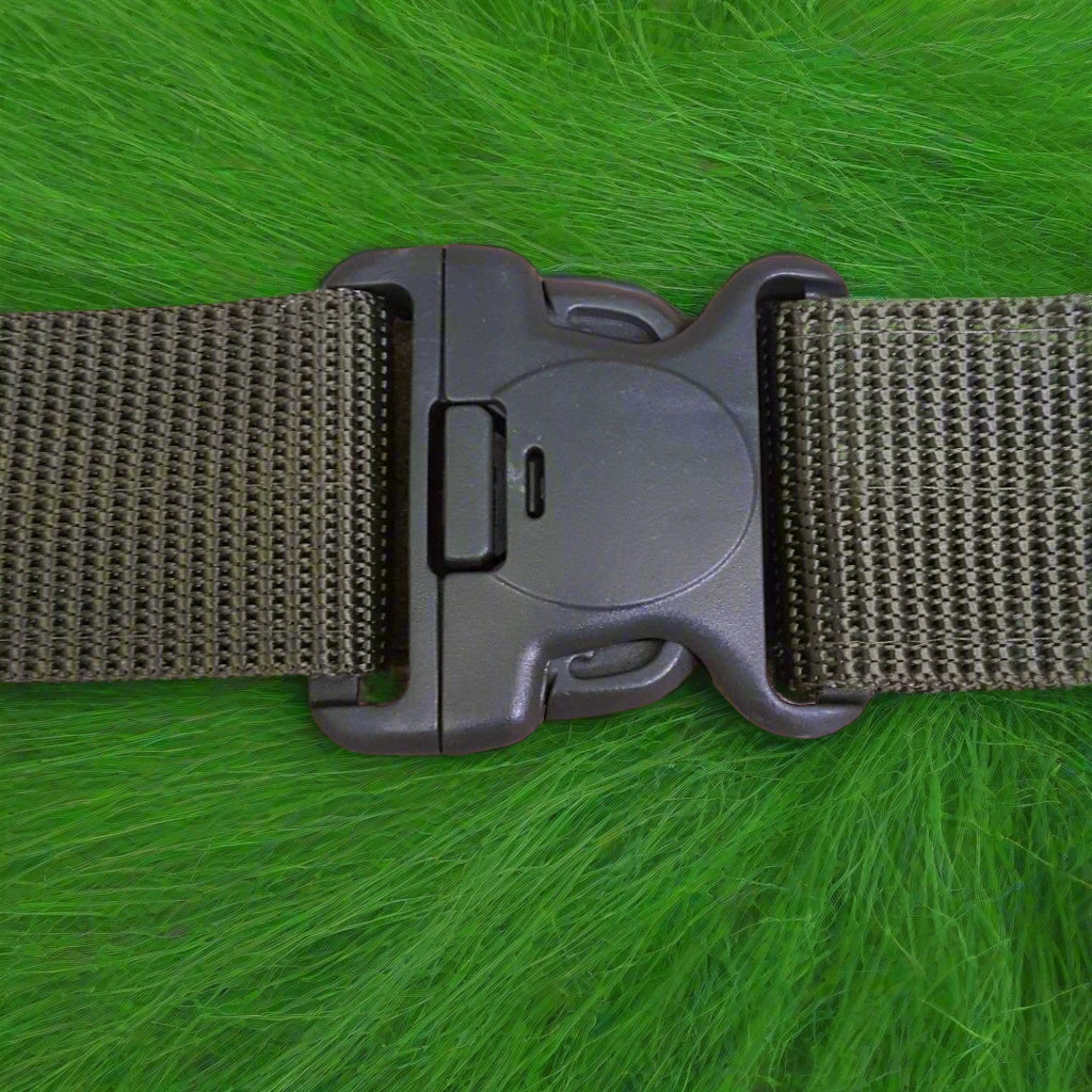 belt with a plastic buckle