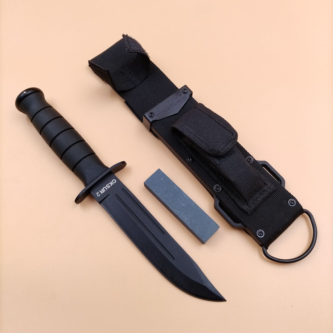 R2 with sheath