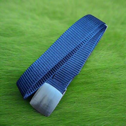 Blue belt with a silver buckle on a green textured background