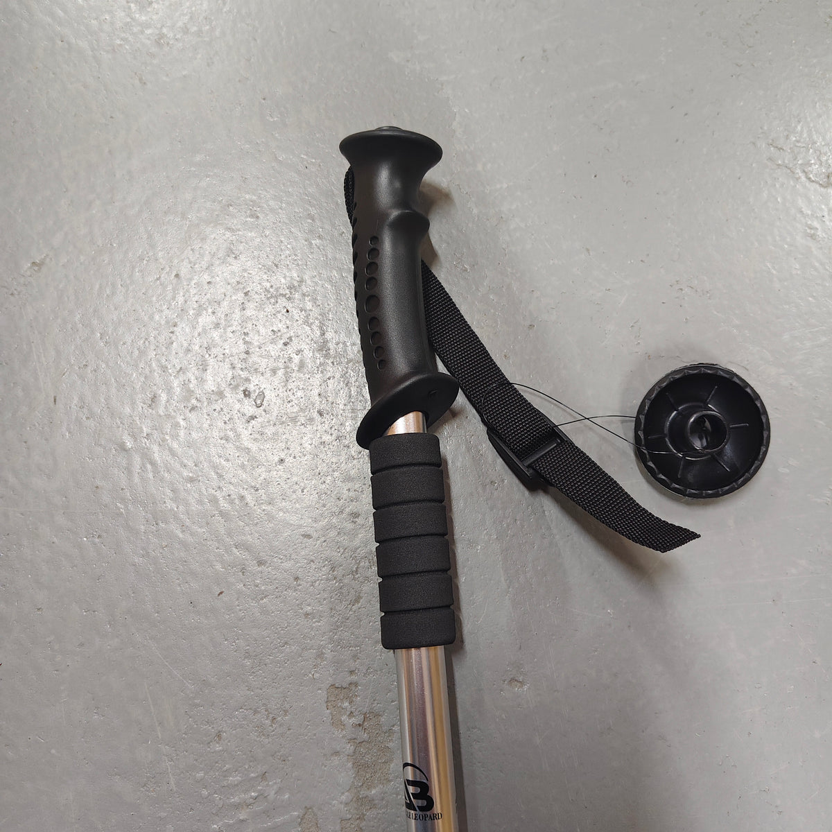 Hiking stick plain