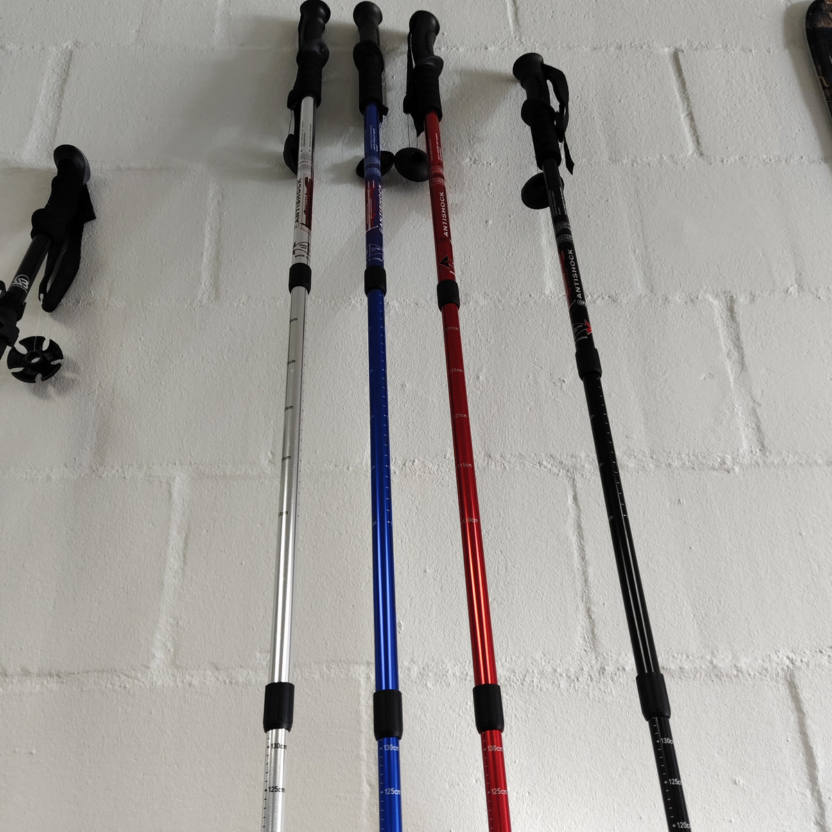 Hiking stick plain