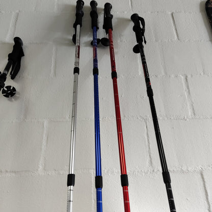 Hiking stick plain