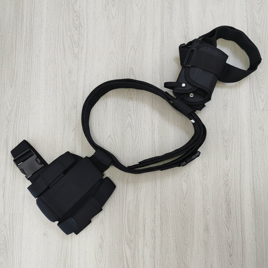 Belt and holster combo